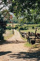 Domaine de cozance