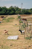 Domaine de cozance