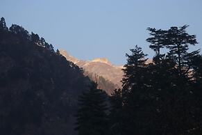 SnugBug Kasol