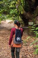 Na Floresta Glamping