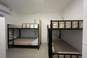 Lazy Lizard Hostel