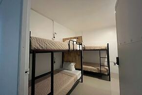 Lazy Lizard Hostel