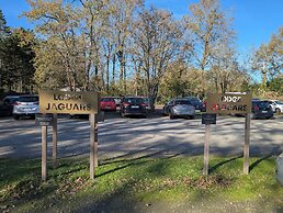 Night Experience By Zoo Bordeaux Pessac