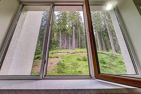 The Stream Resort Pamporovo