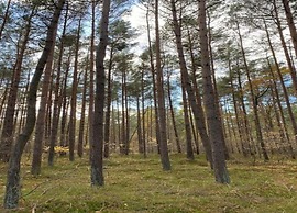 Floating Comfort in Peenemunde