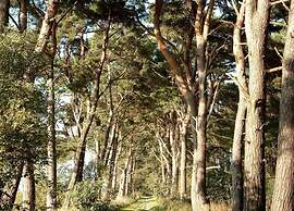 Floating Comfort in Peenemunde