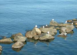 Floating Comfort in Peenemunde