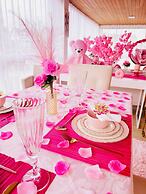 Pousada Pink Village