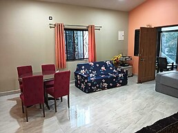 Whispering Palm Parra