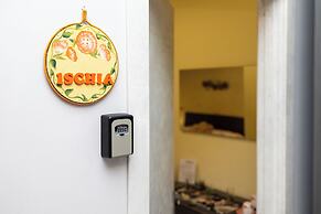 Vicolo 55