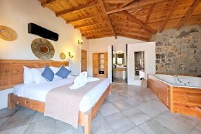 Villa Taş Exclusive