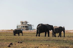 Chobe Princess By Mantis