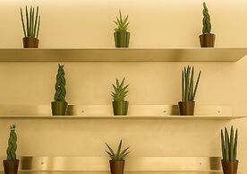 Sechi Hotel Milano