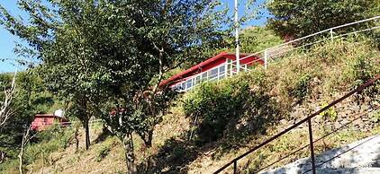 Vertical Valley Resort