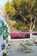 The Bougainvillea