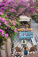 The Bougainvillea