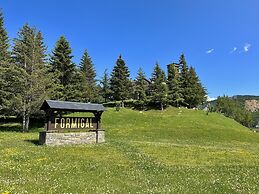 Apartamentos Confort Formigal 3000