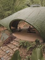 SelvaMinca