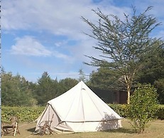 Great Circle Camping