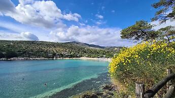 Jasmin Bright Nest - Bloomy Garden View