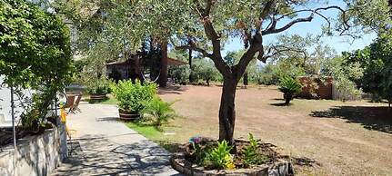 Jasmin Bright Nest - Bloomy Garden View