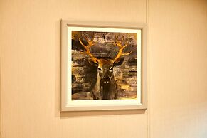 Host Stay Kinship Lodge
