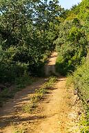 Quinta do Oratório Agroturismo