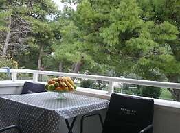 Apartments Despot Zaostrog