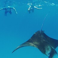 Shifa Lodge Maldives