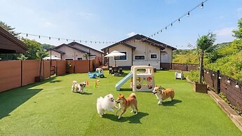 Taean Holy Dog Pool Villa