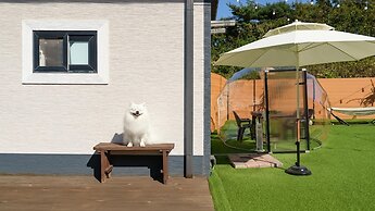 Taean Holy Dog Pool Villa