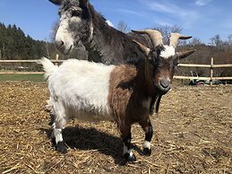 Wagners Hotel Wastlsäge