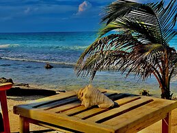 Turtle Beach Sanctuary Utila