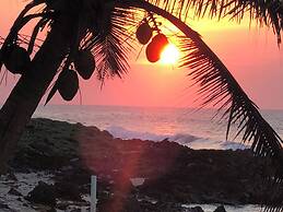 Turtle Beach Sanctuary Utila