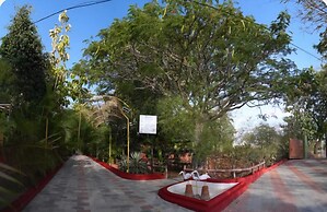 The Whistling Pine Woods