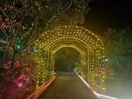 The Whistling Pine Woods