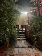 The Whistling Pine Woods