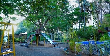 The Whistling Pine Woods