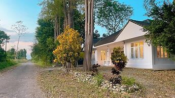 Silpasom ARTstay Suratthani