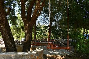 Green Oak Villa in Zakynthos