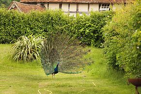 Orchard View Shepherds Hut