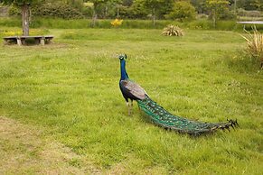 Orchard View Shepherds Hut