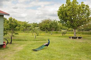 Orchard View Shepherds Hut