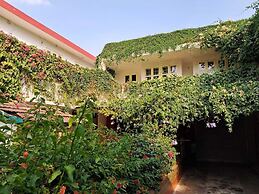 Vijaya's Homestead
