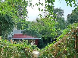 Vijaya's Homestead