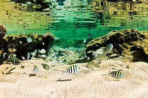 Pousada Mar de Venus