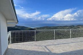 Monte allegru