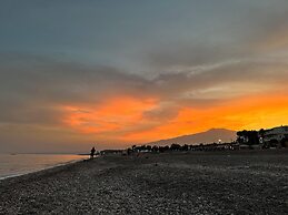 I Puritani on the beach
