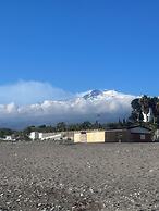 I Puritani on the beach