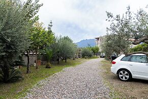 Fabiola Guest House